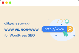 网站链接中带WWW与不带WWW开头哪个更适合WordPress SEO