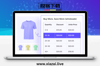 WholesaleX Pro — WooCommerceB2B 批发与混合商业模式解决方案插件